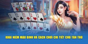 khai-niem-mau-binh-va-cach-choi-chi-tiet-cho-tan-thu